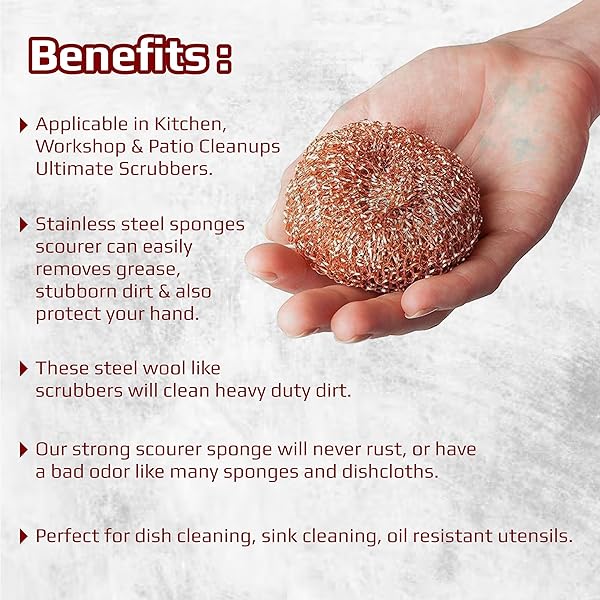 Last Chance Scourers 2025 New Reusable Cleaning Sponges Wire Wool For - View #12